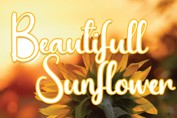 Beautifull Sunflower Font for Engaging Digital Marketing