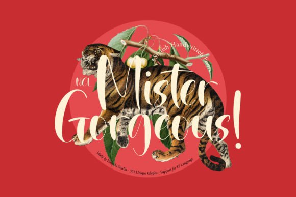 Mister Gorgeous Font: Modern Script for Branding